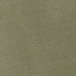Olive croisi&egrave;re