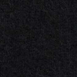Noir Polo Holiday Bear