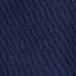 Cruise Navy