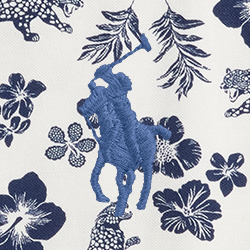 Jaguar tropical moyen