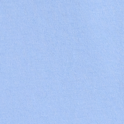 Austin Blue  Summer Bear