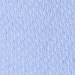 Austin Blue Summer Bear