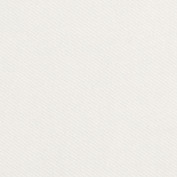 White  Summer Bear