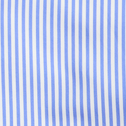 Blue/White