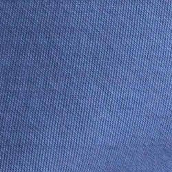 Blue Heritage Icons Bear