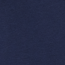 Navy Heritage Icon Bear