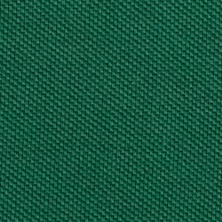 New Forest Society Bear