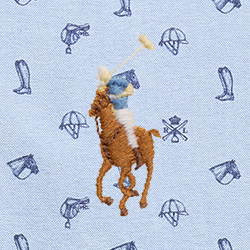 Equine Heritage Convo