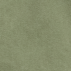 Mint Olive Washed