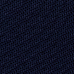 Cruise Navy