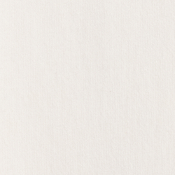 Newport Bear White
