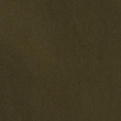 Dark Loden