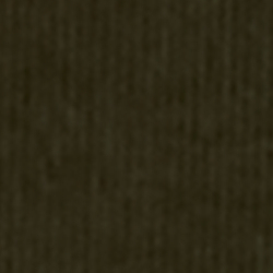 Company Olive
