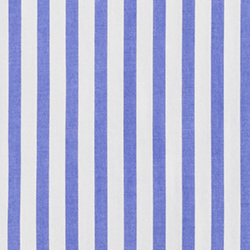 Blue/White
