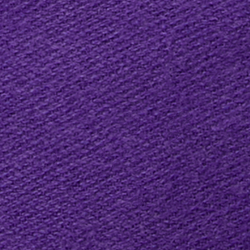Purple Cactus