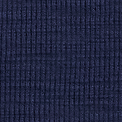Cruise Navy