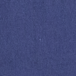 Light Navy