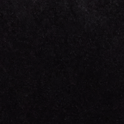 Polo Black