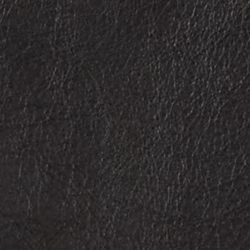 Polo Black