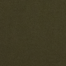 Company Olive