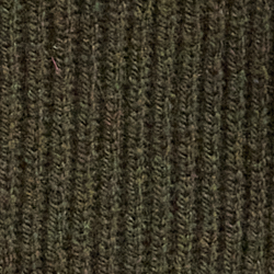 Oliva ekanite