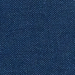 Newport Bear/Indigo