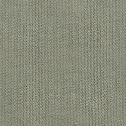 Cruise olive