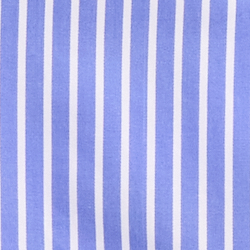 Blue/White