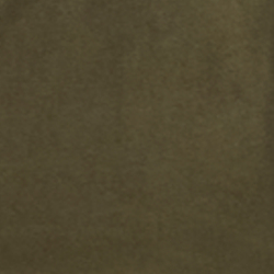 Canopy Olive