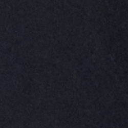 Polo Black