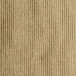 Sable Paddock/Chien chas.