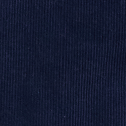 Cruise Navy