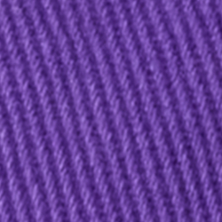 Purple Cactus