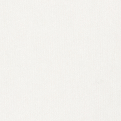White/Active Bear