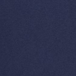 Newport Navy