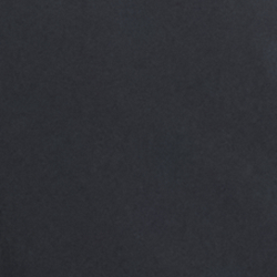 Polo Black