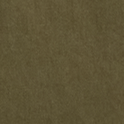 Canopy Olive