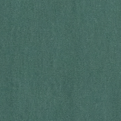 Charter-Grün