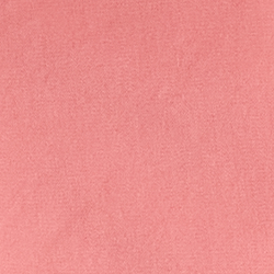 Canvas Pink