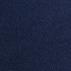 Cruise Navy