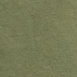 Tree Green