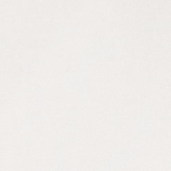 White  Summer Bear
