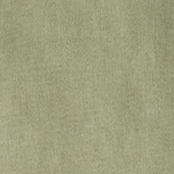 Mint Olive Washed