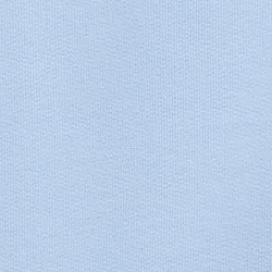 Newport Bear/Office Blue