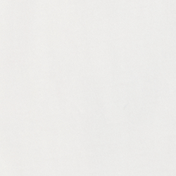 Newport Bear White