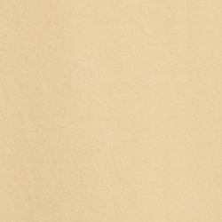 Coastal Beige