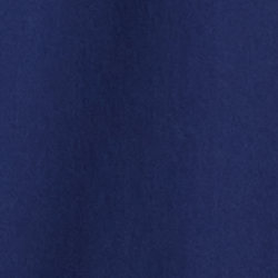 Spring Navy