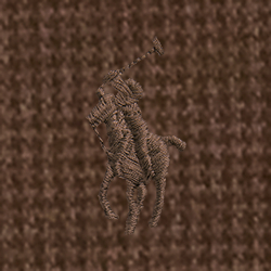 Marron musca. chin&eacute; chiot