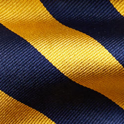 Navy/gold