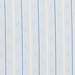 Blue/White